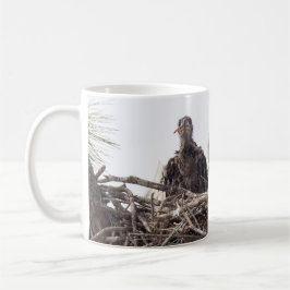 Café Taza de SWFL EagleCam M15 E7 E8