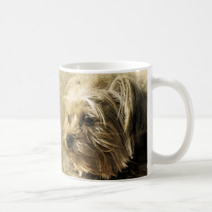 Café Taza de tazón de cachorro Yorkie