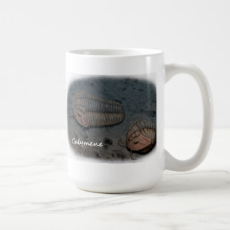 Café Taza de Trilobite