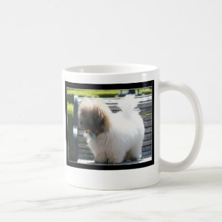 Café Taza de Tulear Puppy del algodón