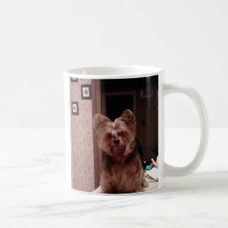 Café Taza de Yorkie