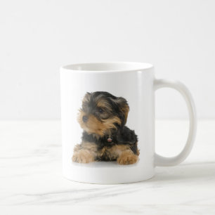 Café Taza de Yorkshire Terrier