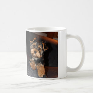 Café Taza de Yorkshire Terrier