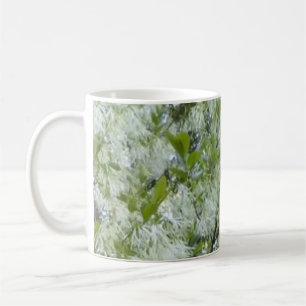 Café Taza del árbol del Graybeard de Grandaddy