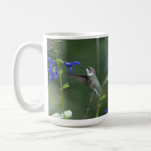 Café Taza del azul del zafiro del salvia del pájaro de