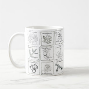 Café Taza del bosquejo de la planta del Aromatherapy