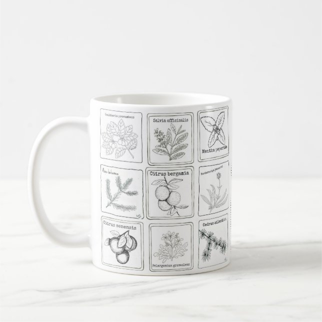 Café Taza del bosquejo de la planta del Aromatherapy (Izquierda)