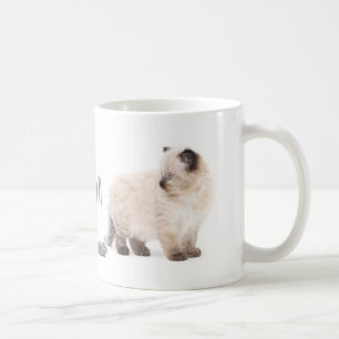 Café Taza del bosquejo del gatito de Ragdoll