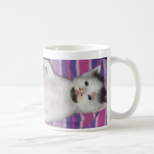 Café taza del botón de Benjamin de las barbas