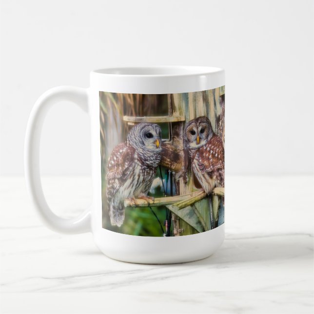 Café Taza del búho barred de 2025 (Izquierda)