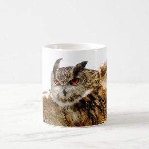 Café Taza del búho de Eagle en vuelo