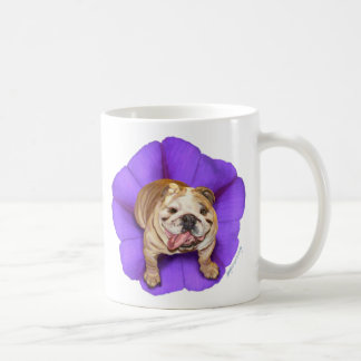 Café Taza del bulldog de la correhuela