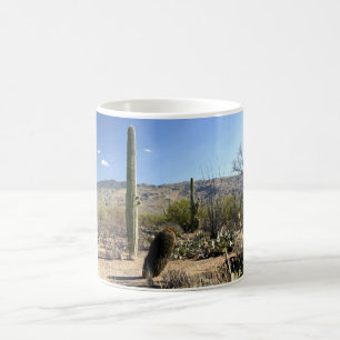 Café Taza del desierto 03 de Sonoran