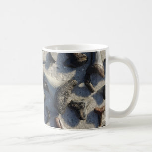 Café Taza del diente de los tiburones