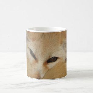Café Taza del Fox de Fennec