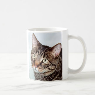 Café Taza del gato de Briggs