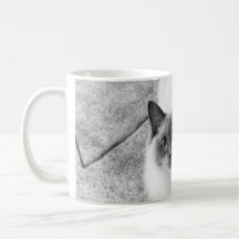 Taza del gato de Ragdoll