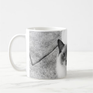 Café Taza del gato de Ragdoll