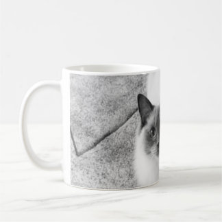 Café Taza del gato de Ragdoll