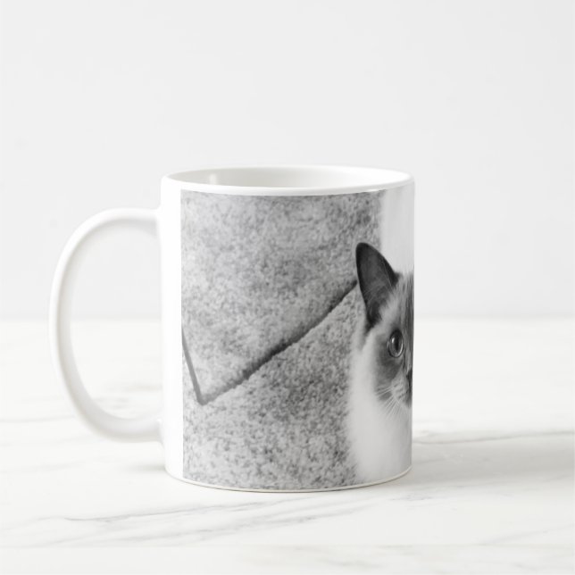 Café Taza del gato de Ragdoll (Izquierda)