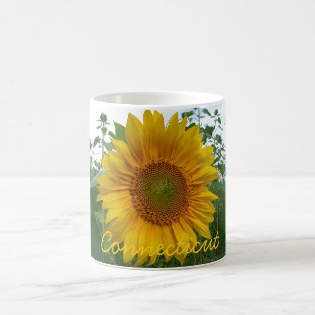 Café Taza del girasol de Connecticut (Centro)