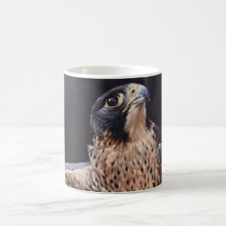 Café Taza del halcón de peregrino