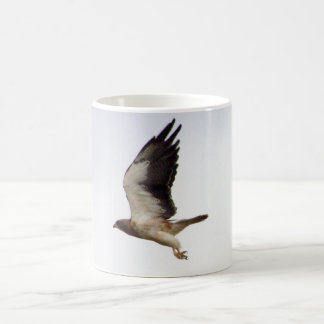Café Taza del halcón de Swainson