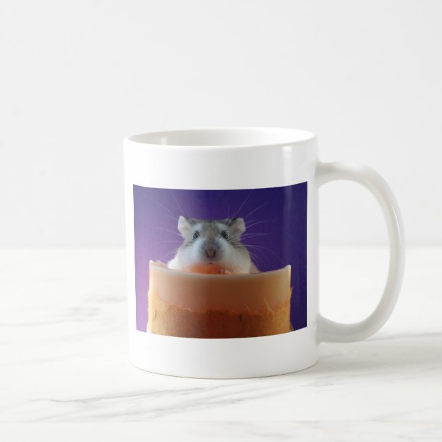 Café Taza del hámster de Roborovksi (Derecha)