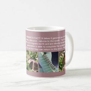 CAFÉ TAZA DEL HECHO DE LA MARIPOSA DE MONARCA