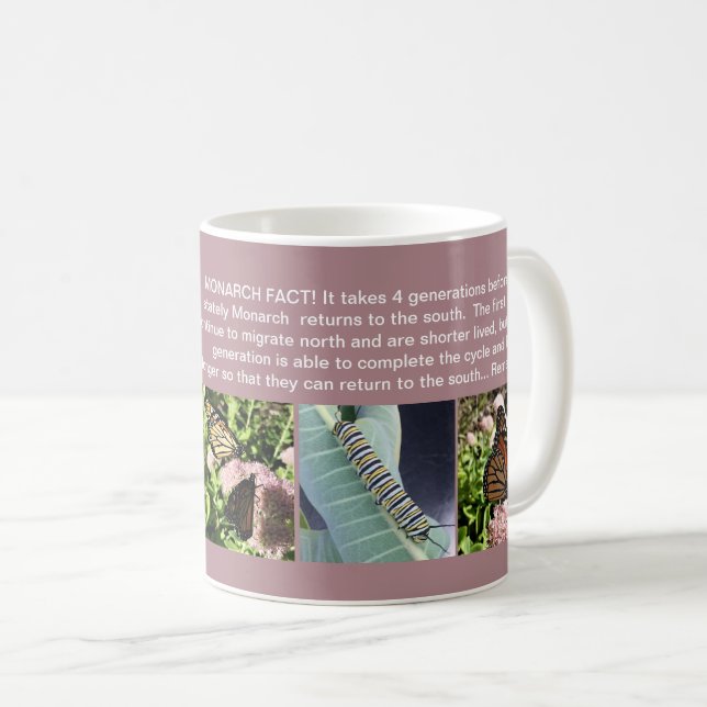 CAFÉ TAZA DEL HECHO DE LA MARIPOSA DE MONARCA (Anverso derecho)