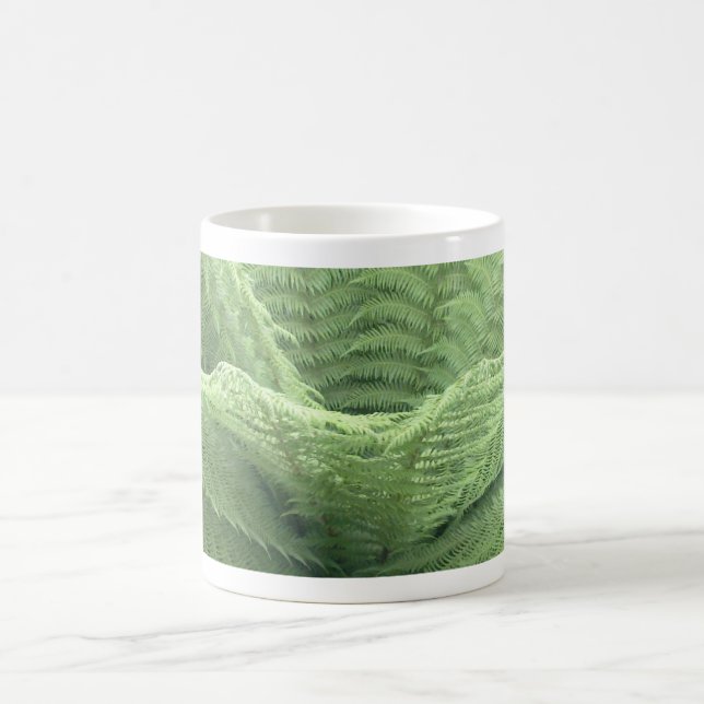 Café Taza del helecho de árbol (Centro)