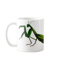 Taza del insecto, verde de la mantis religiosa