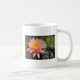 Café Taza del lirio de agua