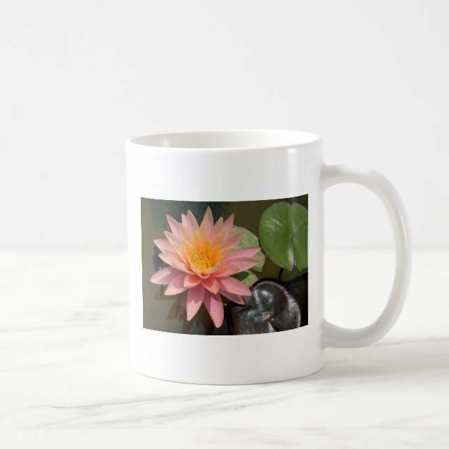 Café Taza del lirio de agua (Derecha)