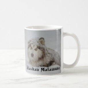 Café Taza del Malamute de Alaska
