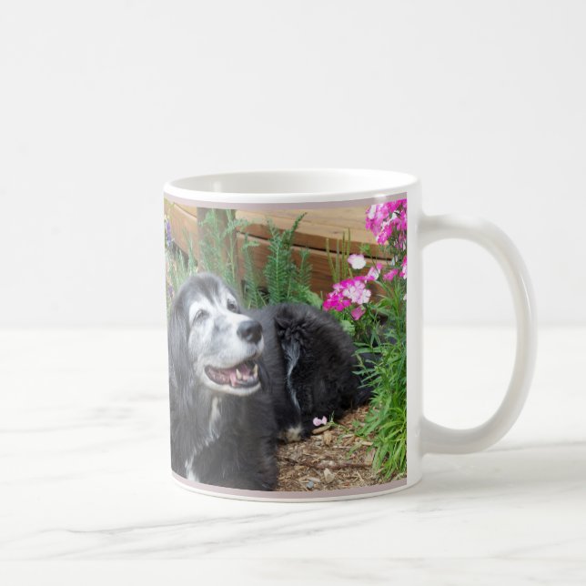 Café Taza del mollete de cocker spaniel (Derecha)