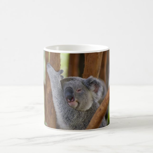 Café Taza del oso de koala (Centro)