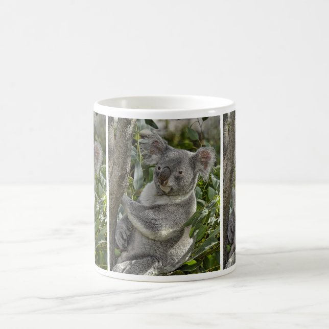 Café Taza del oso de koala 2 (Centro)