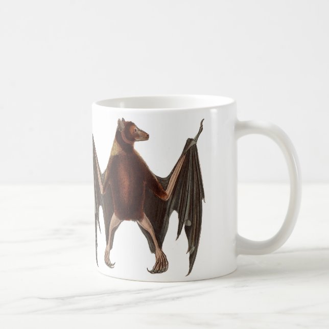 Café Taza del palo de fruta (Derecha)
