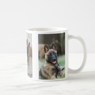 Café Taza del perrito de Malinois del belga