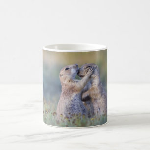 Café Taza del perro de las praderas