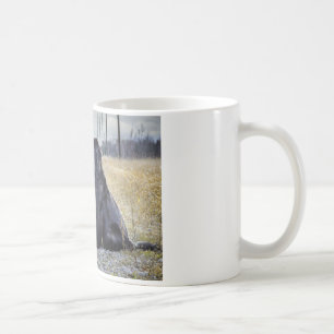 Café Taza del perro de Terranova