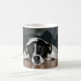 Café Taza del perro de Terrier de rata de "Molli"