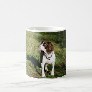 Café Taza del perro del perro de aguas de saltador