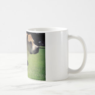 Café Taza del pitbull de Georgia