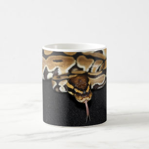 Café Taza del pitón de la bola