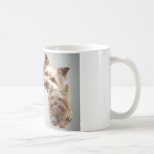 Café Taza del poema del amigo de Yorkshire Terrier