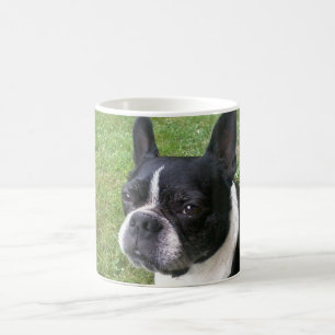 Café taza del terrier de Boston