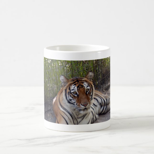 Café Taza del tigre de Bengala 003 (Centro)