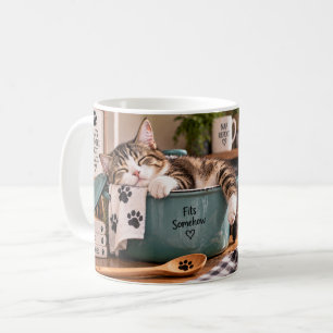 Café Taza divertida de gato con la leyenda 'Llegué, vi,